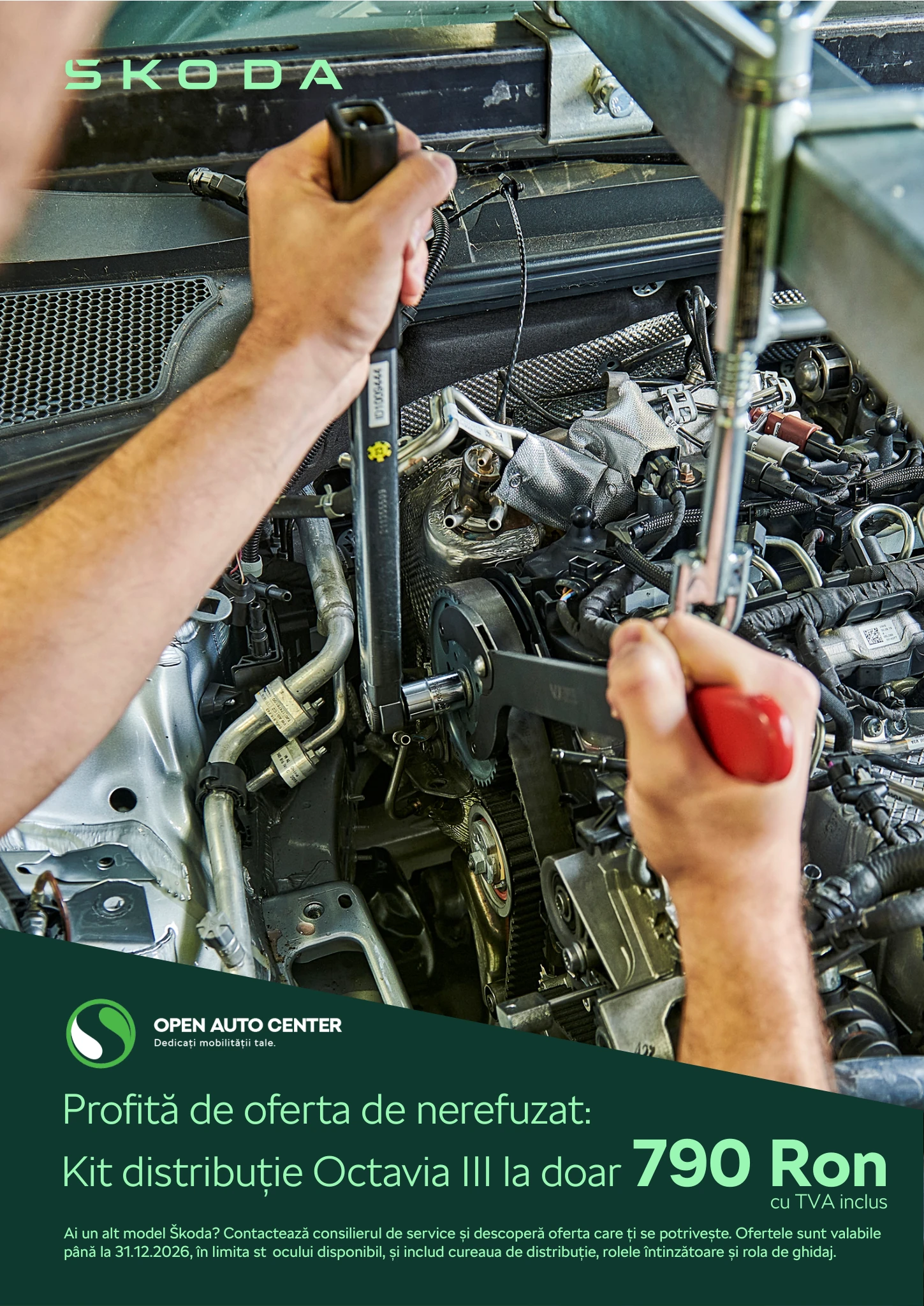 Distributie Newsletter Skoda